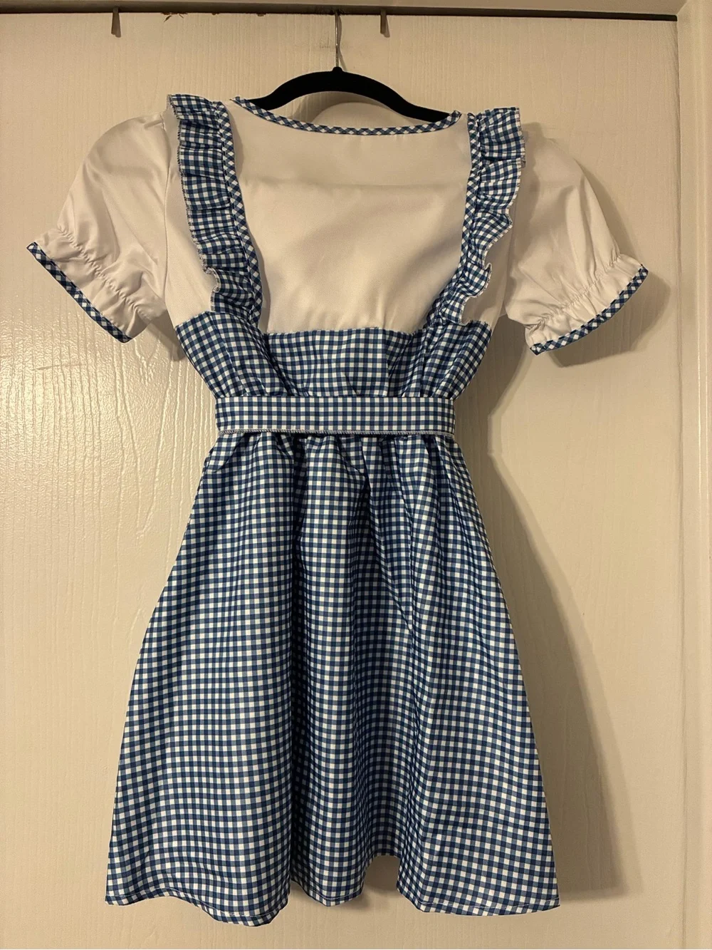 Girls Size 6-7 “Dorothy” Blue Gingham Kids Costume Dress with Red Button Accents